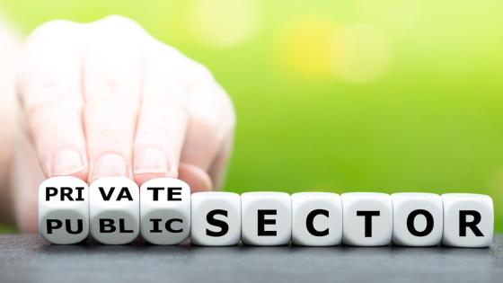 Hand turns dice and changes the expression "public sector" to "private sector".