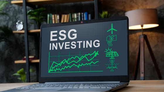 ESG investing results on the laptop screen