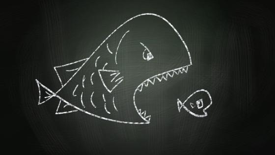 A blackboard drawing depicts a big fish attempting to swallow a smaller fish