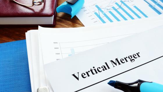 File labelled "vertical merger"