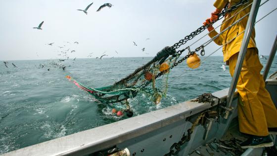 Net being hauled in on fishing vessel