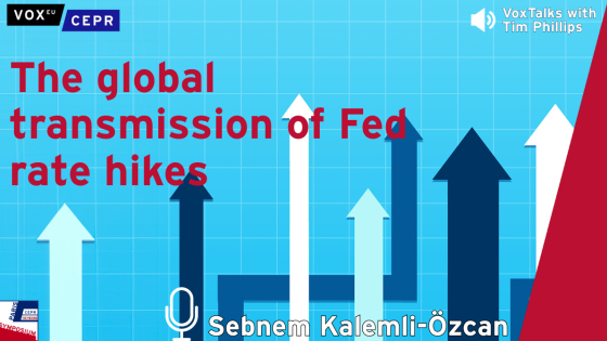 The global transmission of Fed rate hikes