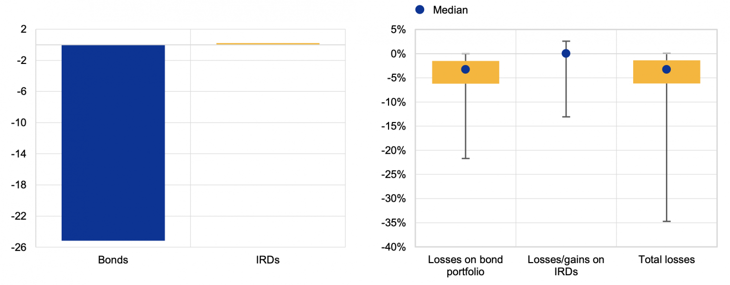 Losses resulting from a 100 basis point interest rate hike: total (left panel) and distribution (right panel)