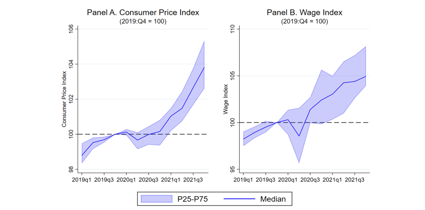 Figure 1 Recent behaviour of price and nominal wage indices, advanced economies