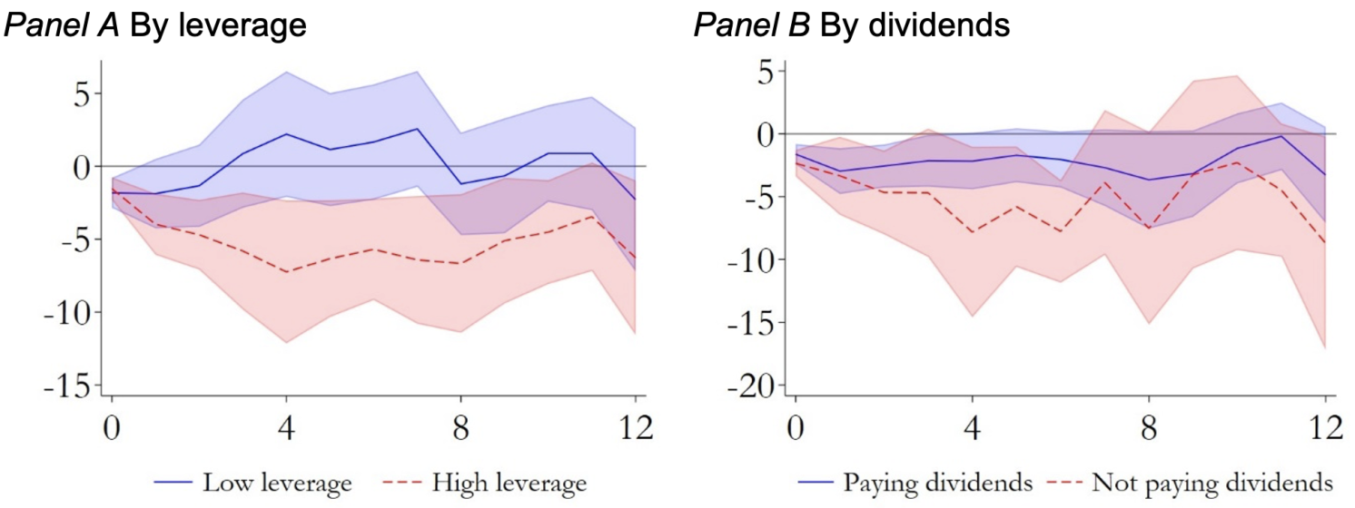 Figure 3 Heterogeneous responses of investment across firms