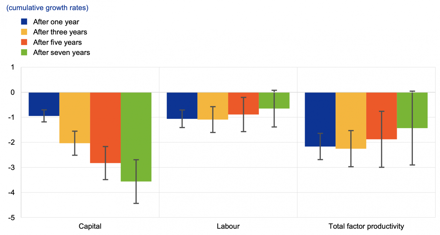 The scarring effects of COVID-19 on the global economy | CEPR