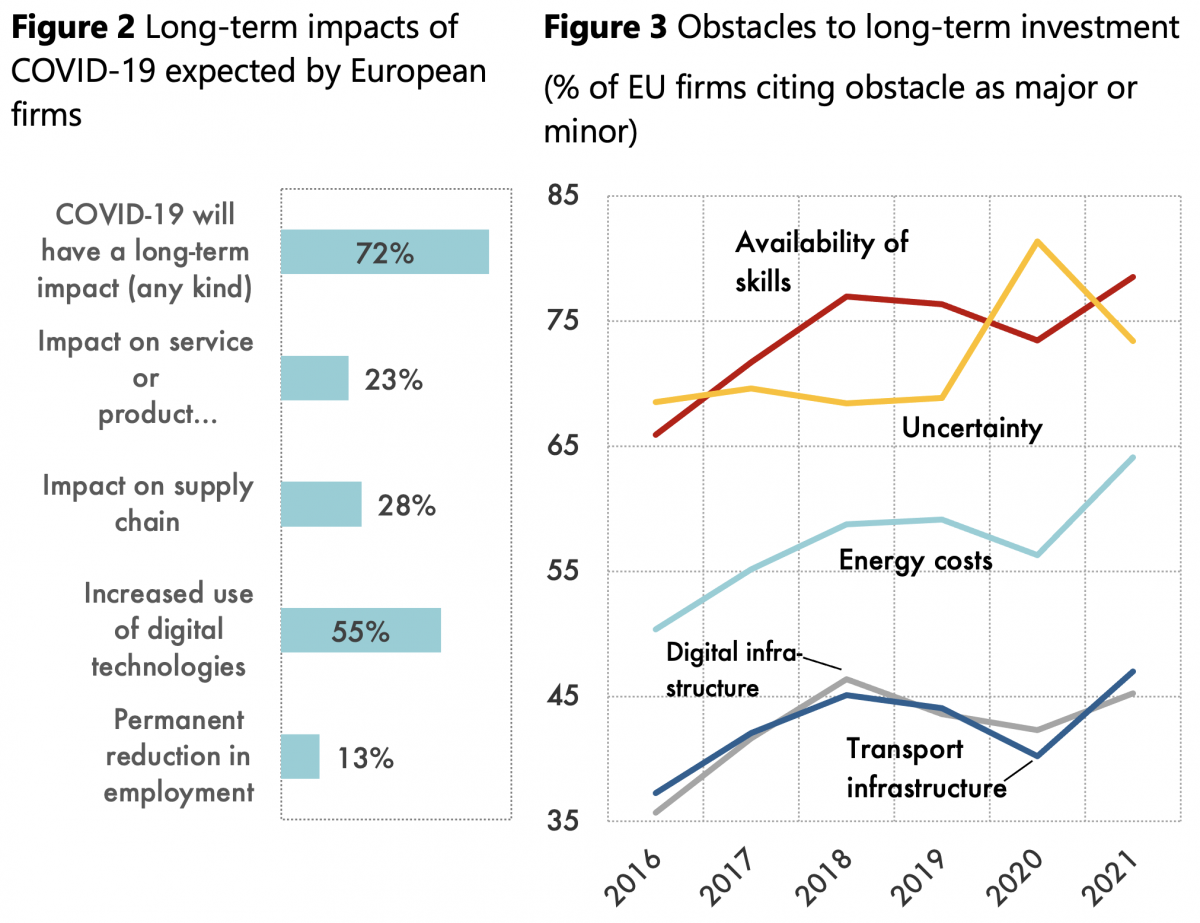 EU firms and the COVID crisis: So far so good, but uncertainty, lack of ...