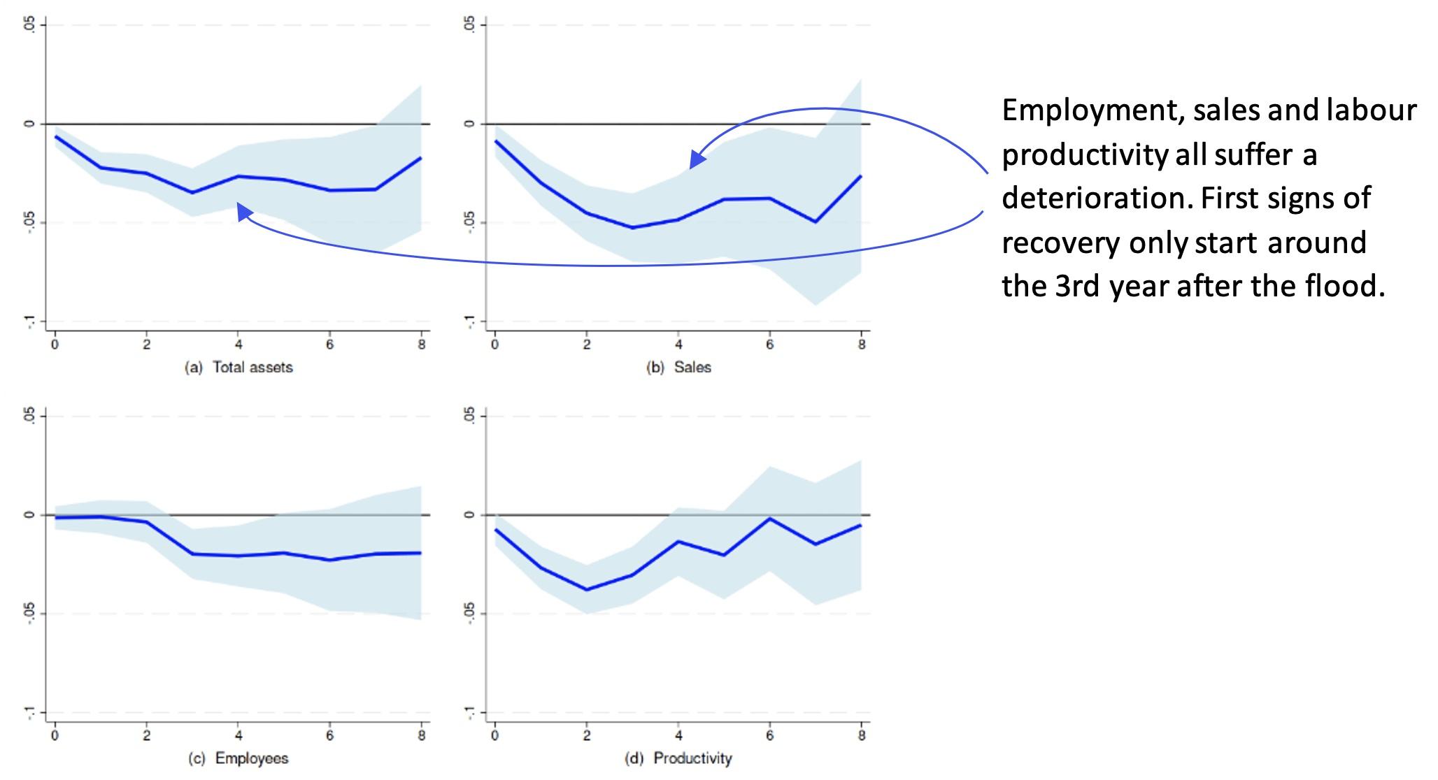 Figure 2 Dynamic impacts of floods on firm assets, sales, employees, and productivity