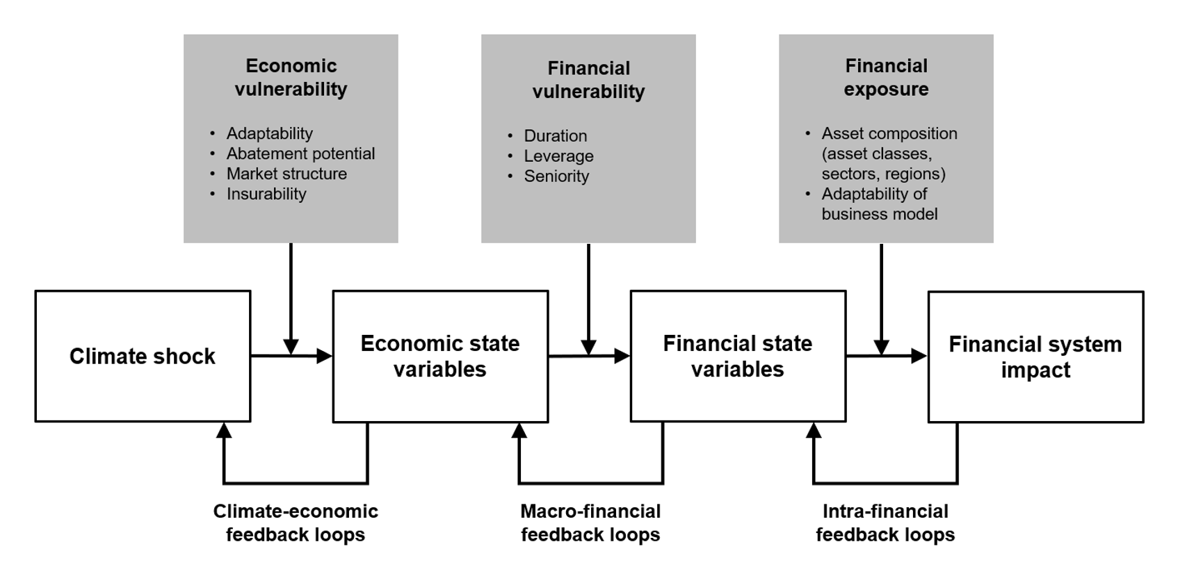 Figure 2 Moderating variables and feedback loops in the climate-financial relation