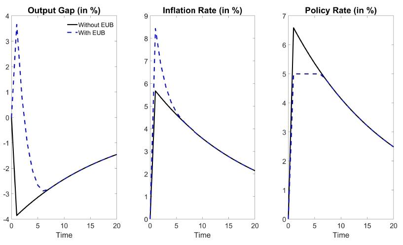 Figure 3 Impulse response functions based on a New Keynesian model with the effective upper bound on the policy rate