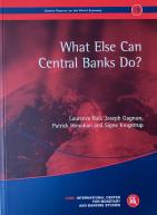 Geneva 18: What Else Can Central Banks Do