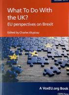 What To Do With the UK? EU Perspectives on Brexit