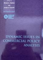 Dynamic Issues in Applied Commercial Policy Analysis