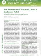 Policy Insight 1: Are International Financial Crises a Relic of the Past? Inflation Targeting as a Monetary Vaccine