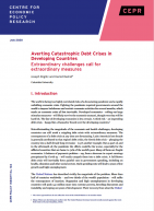 Averting Catastrophic Debt Crises in Developing Countries