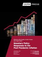 Monetary Policy responses Cover Image